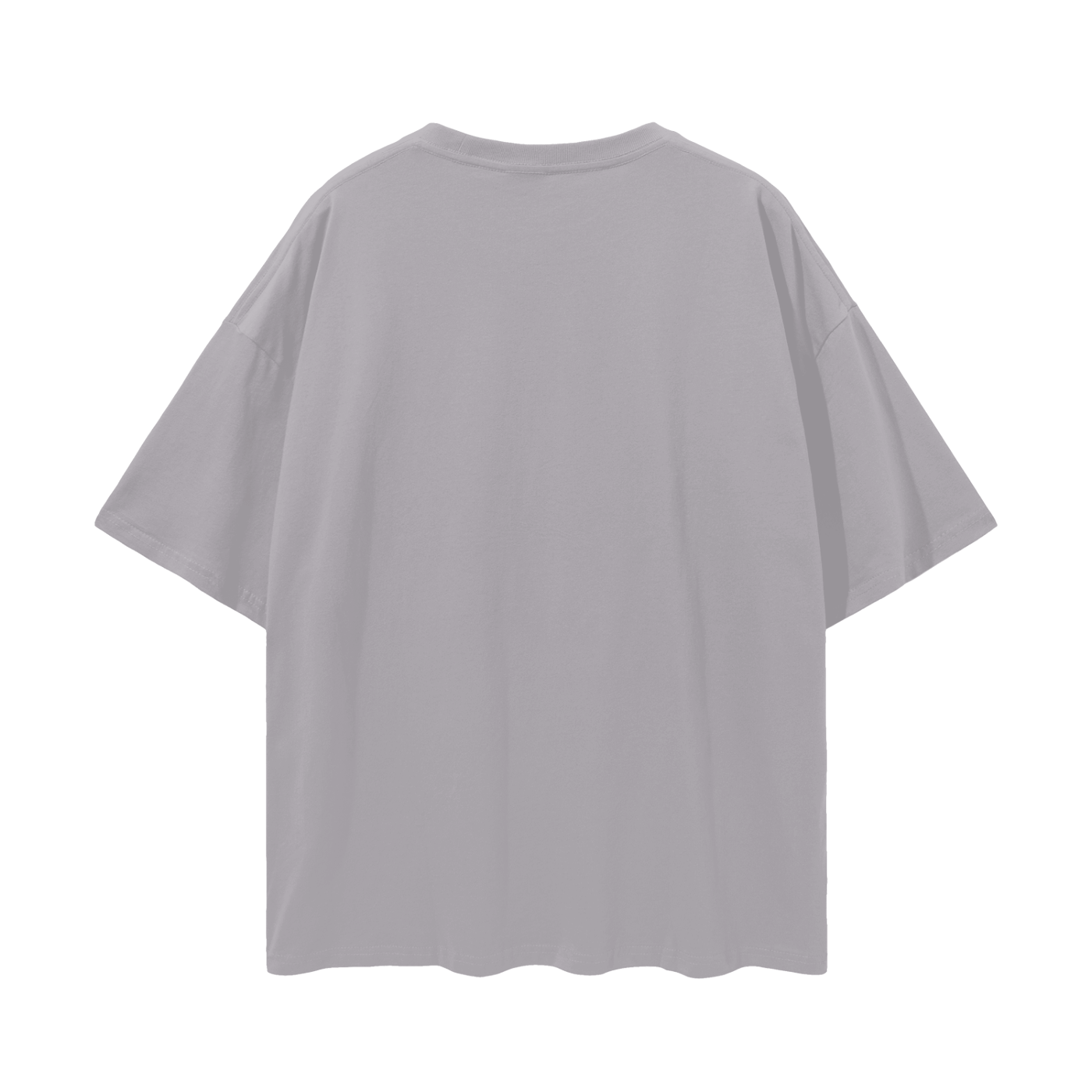 SCARAB GREY TSHIRT